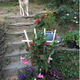 Illustration for article titled Gardening Times Open Thread (pup~date)
